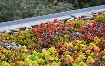 the cost of Hunstanton green roof installation