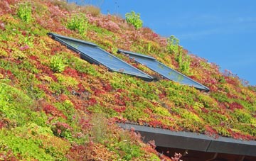 Hunstanton living roof systems